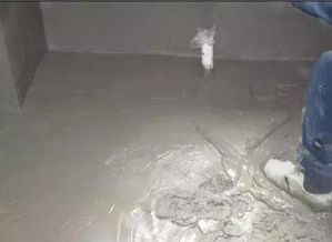 衛(wèi)生間裝修防水指南 施工次數(shù)與材料選購詳解